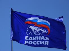 Волгоградские единороссы объявили войну члену высшего совета партии