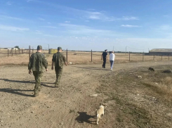 Полиция и военные с собаками прочесали целый район под Волгоградом