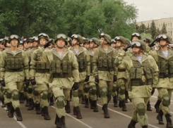 «Почти половина жителей Украины хотят войны»: министр обороны РФ срочно перебрасывает волгоградских десантников в Крым