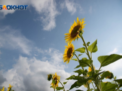 Жара не отступит от волгоградцев