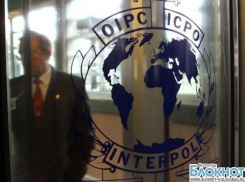 Интерпол ищет мошенников, обманувших волгоградцев на отдыхе в Европе