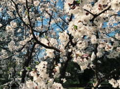Волгоград взял уверенный курс на потепление 