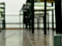 Выпускникам волгоградских школ начали выдавать аттестаты