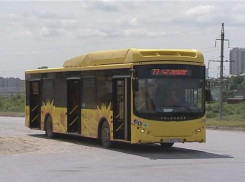 Волгоградцев отвезут на кладбище специальные автобусы