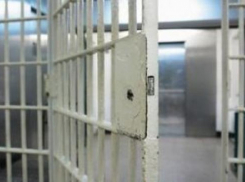 В Волгоградской области по амнистии освобождено 4137 человек