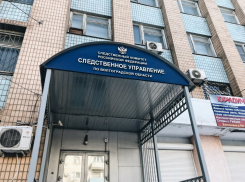  Мужчина голыми руками жестоко расправился с пожилой матерью под Михайловкой 