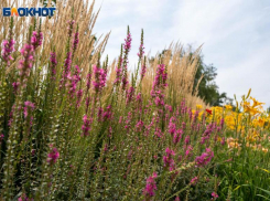 Перемены в личной жизни принесет сентябрь: гороскоп на месяц