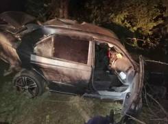 В Волгоградской области водитель погиб после столкновения с деревом