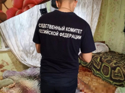 В Волгоградской области мигрант получил 9 лет за убийство возлюбленной табуретом 