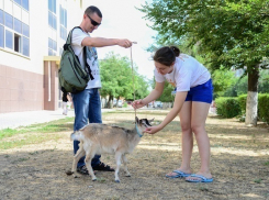 Волгоградец вернул в зоопарк сбежавшую козу Клепу