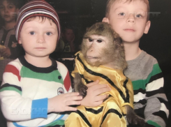 Введение просроченных препаратов маленьким детям волгоградские следователи не сочли за преступление