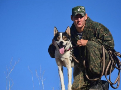 Четыре способа обезопаситься от нападения бездомной собаки: советы от волгоградского кинолога