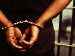 ФАС разоблачает картельный сговор по питанию в детских садах и школах Волгограда