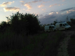 На юге Волгограда скорый поезд сбил мужчину с тележкой