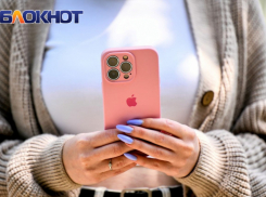  МВД и приставы уличили друг друга в распространении фейка в Волгограде