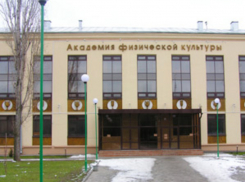 На место ректора ВГАФК метит кандидат со скандальной репутацией  