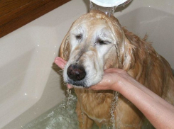 Больше суток два района Волгограда проведут без воды