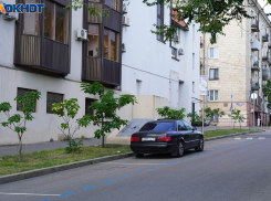 30-градусная жара и слабый ветер: погода в Волгограде на 28 августа