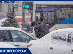 Первый зимний снегопад преобразил Волгоград: показываем 30 ярких фото
