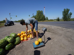 Волгоградцев возмутил арбузный беспредел и цены выше московских