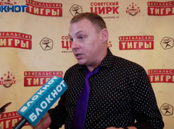 Избить палками или морить зверей голодом: цирк с бенгальскими тиграми опровергает стереотипы