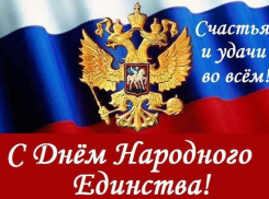 Большая часть жителей Волгограда не отмечала День народного единства