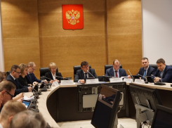 Бешеный принтер: волгоградские депутаты поставили рекорд по скорости принятия законов