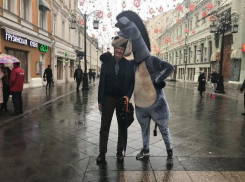 Стало известно, чем занимался четыре года в Волгоградской областной думе депутат Осипов