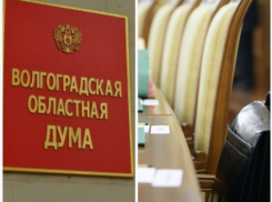 В Волгоградской областной Думе никак не могут поделить руководящие посты