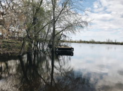 Первый летний день принесет в Волгоградскую область невыносимую жару и грозу 