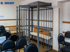 Судья-последовательница скандально известной Юлии Добрыниной слагает полномочия в Волгограде