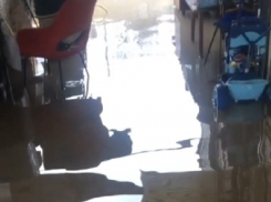 «Блокнот Волгограда» публикует видео потопа в поселке Городище