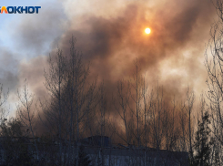 Не волнуйтесь и не переживайте: в Волгограде начали контролируемый, но засекреченный отжиг сухой травы