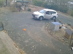 Волгоградский приют захлебнулся в долгах из-за мнимой сердобольности подкидывающих животных горожан