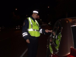 В Волгограде в 40-градусную жару решили провести рейд по тонировке