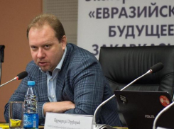 За это надо расстреливать, - бывший вице – губернатор Волгоградской области о скандале с толстым котом и «Аэрофлотом»