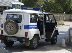 Полиция просит помощи в поисках двух пропавших волжанок