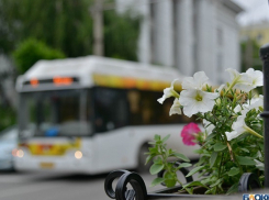 В Волгограде продлили автобусный маршрут №98