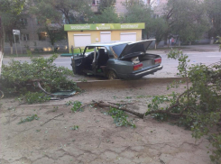 На юге Волгограда водитель ВАЗ-2107 снес дерево и попал в больницу