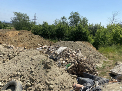 Территорию у Мамаева кургана отдали под выгул собак и завалили землей