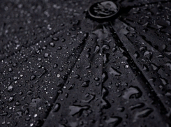 Дожди не собираются покидать Волгоградскую область