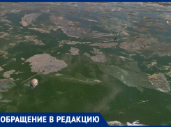 В «Тархунке» массово гибнет рыба: жительница Волгоградской области бьет тревогу