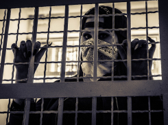 Столичная аферистка кинула в Волгоградской области 14 человек на 6 млн рублей