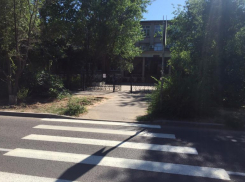 Водители из Волжского жалуются на ветки, из-за которых не видно пешеходный переход