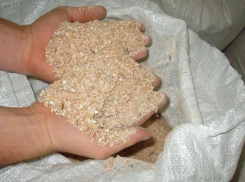 10 контейнеров с продукцией ГМО пытались провезти в Волгоград из Китая