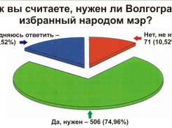 Жители Волгограда поддерживают инициативу федеральных властей о повсеместном возвращении выборов мэр