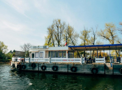 В Волгограде безмасочников не пускают на остров Сарпинский