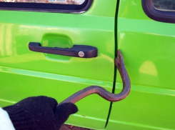 В Волгограде виновник тройного ДТП скрылся и заявил об угоне его авто