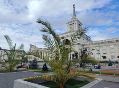 Эффективность и законность трат на озеленение проверят в Волгограде