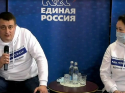 Волгоградцы уверены, что акция с фонариками волгоградского депутата принесла репутационные потери президенту